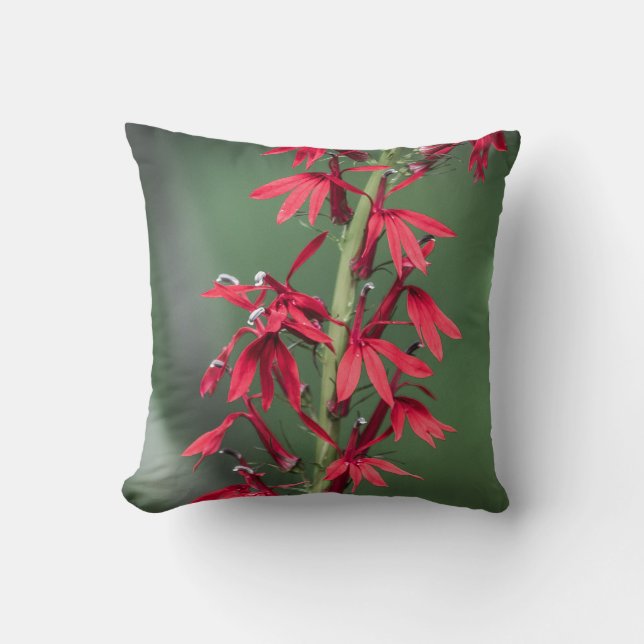 Coussin de fleurs cardinal rouge (Recto)