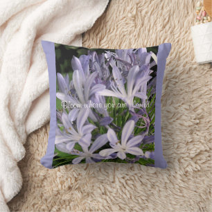 Coussin de fleurs d'agapanthus violet en floraison