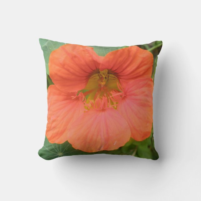 Coussin de fleurs de Nasturtium orange (Recto)