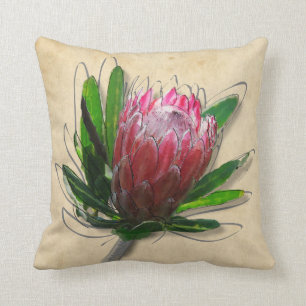 Coussin de fleurs du roi Protea.