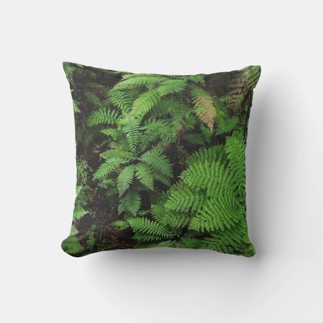 coussin de fougères néo-zélandais (Recto)