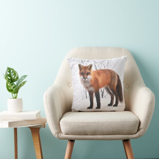 Coussin de Fox rouge (Chaise)