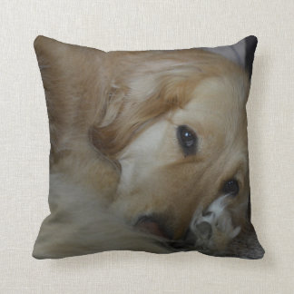 Coussin de golden retriever