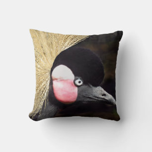 Coussin de grues d'Afrique de l'Est