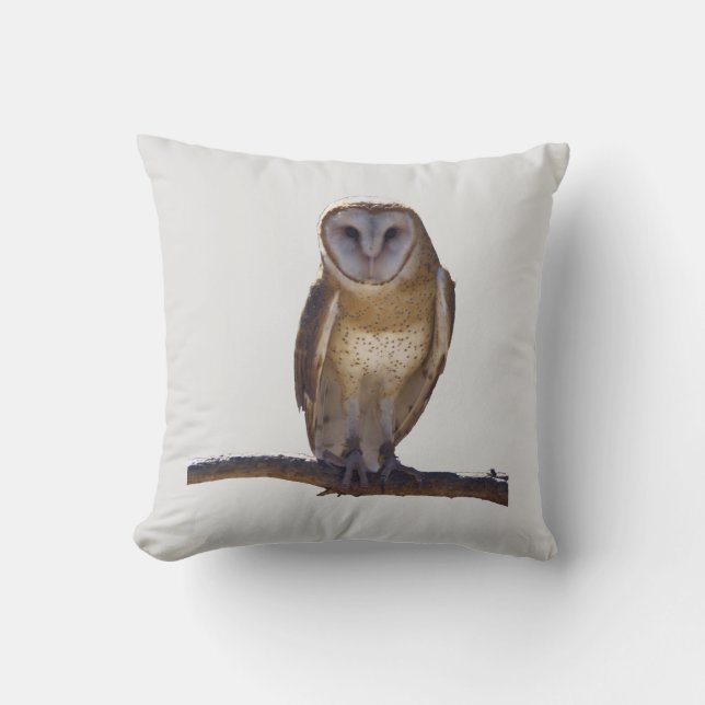 Coussin de hibou de grange (Recto)