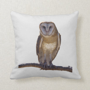 Coussin de hibou de grange