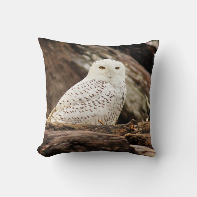 Coussin de hibou de Milou (Recto)
