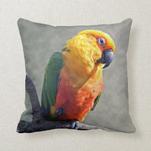 Coussin de Jenday Conure