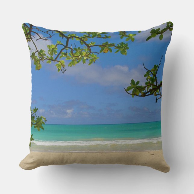Coussin de jet (Recto)