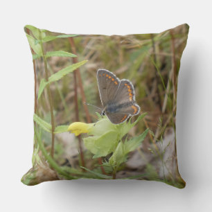 Coussin de jet Brown Argus papillon