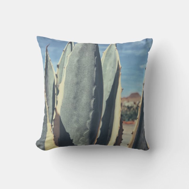 Coussin de jet de feuilles de succulente d'Aloe ve (Recto)
