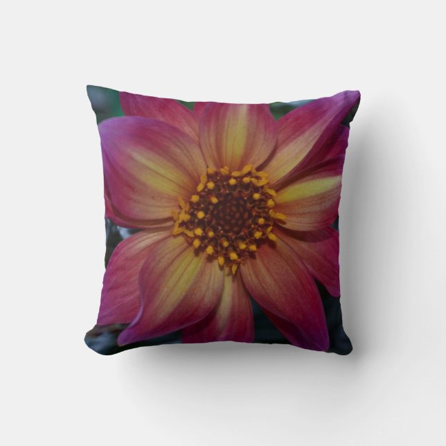 Coussin de jet de fleurs (Recto)