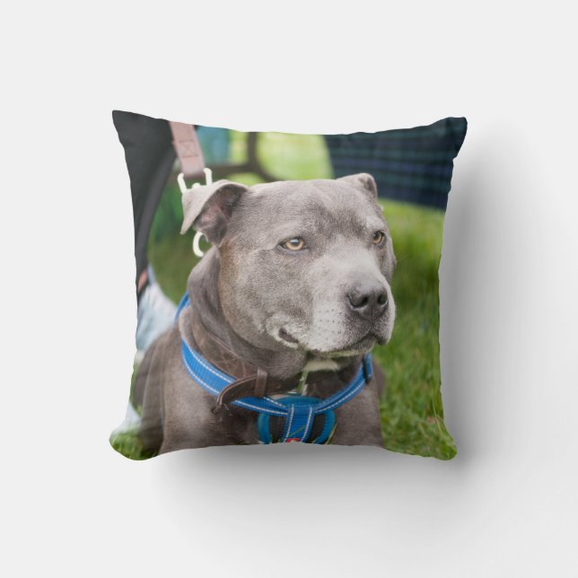 Coussin de jet de Staffie (Recto)