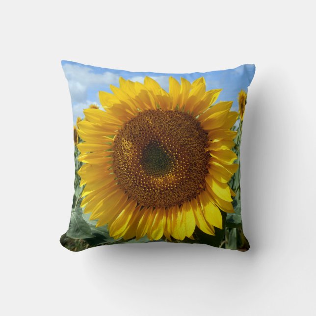 Coussin de jet de tournesol (Recto)