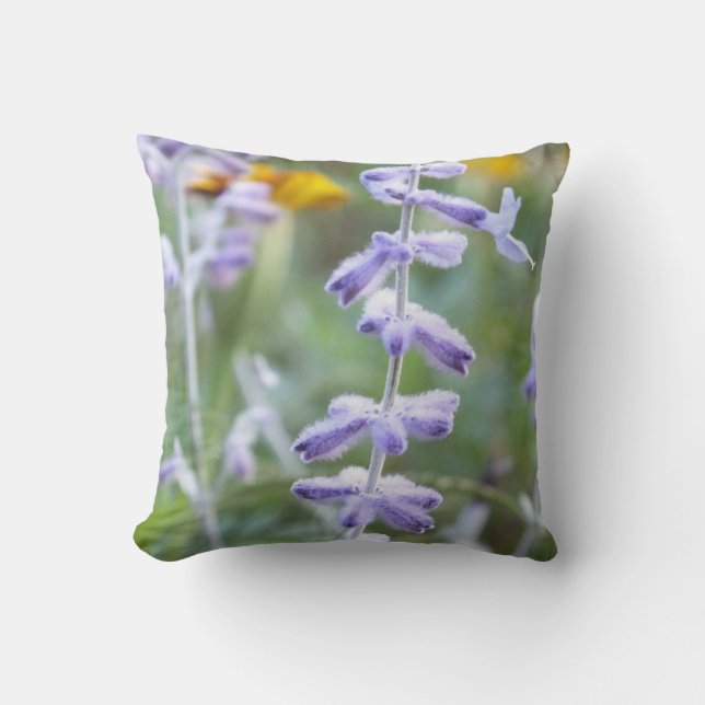 Coussin de jet en fleurs de sauge russe violet (Recto)