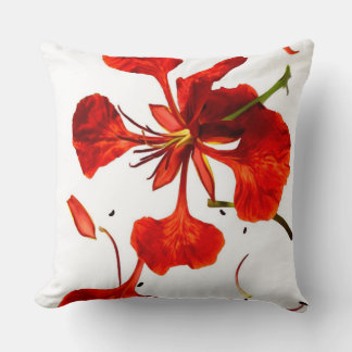 Coussin de jet fleur de Poinciana royale