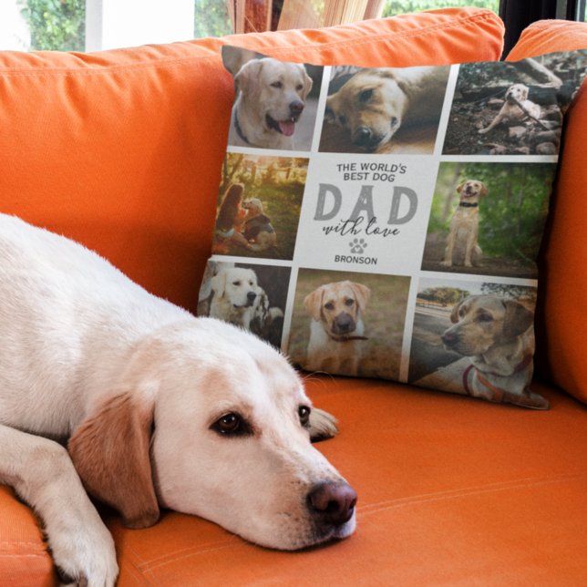 Coussin de jet pour la fête des pères Meilleur pap (Créateur téléchargé)