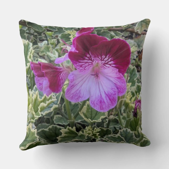 Coussin de jet-série florale Géranium-Jet  (Verso)