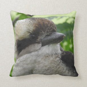 Coussin de Kookaburra