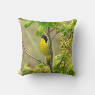 Coussin de la faune, oiseaux, gorge jaune commune