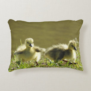 Coussin de la faune, oisons, oies canadiennes,