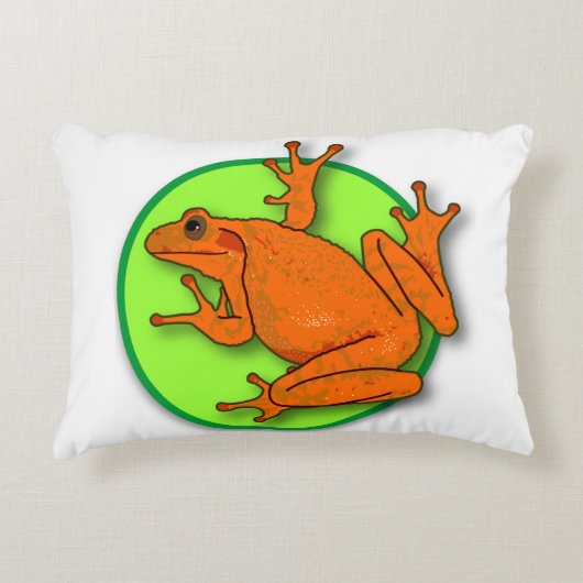 Coussin de la grenouille orange (Devant)