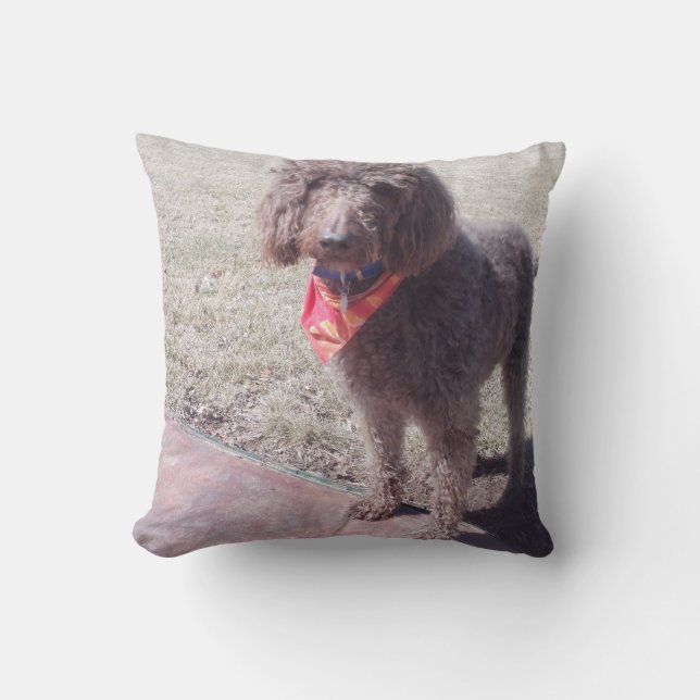 coussin de labradoodle (Recto)