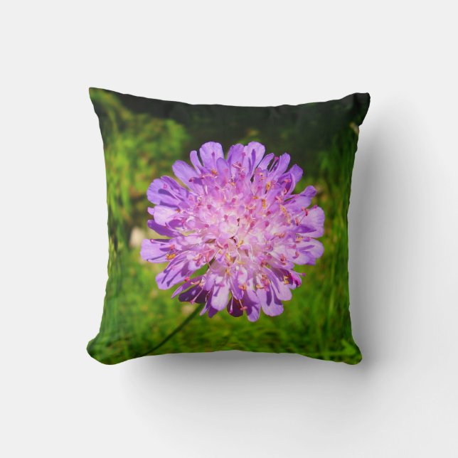 Coussin de lancer à l'échelle du champ (Recto)