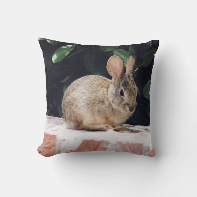 Coussin de lapin (Recto)