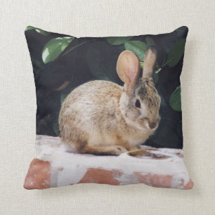 Coussin de lapin