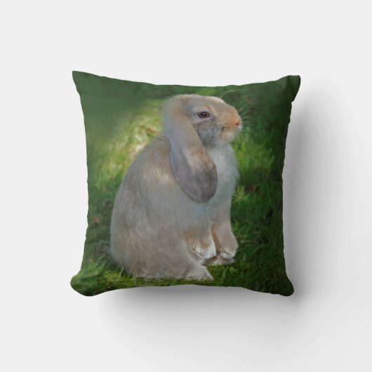 Coussin de lapin Baby Minilop (Recto)