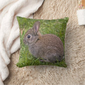 Coussin de lapin de bébé (Couverture)