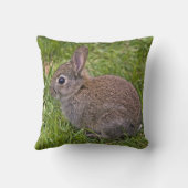 Coussin de lapin de bébé (Verso)