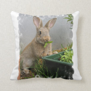 Coussin de lapin de lapin