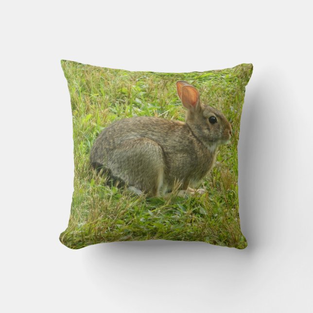 Coussin de lapin sauvage (Recto)