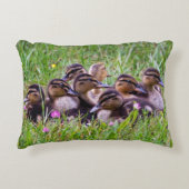Coussin de l'étau de canard (Devant)