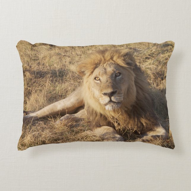 Coussin de lion (Devant)