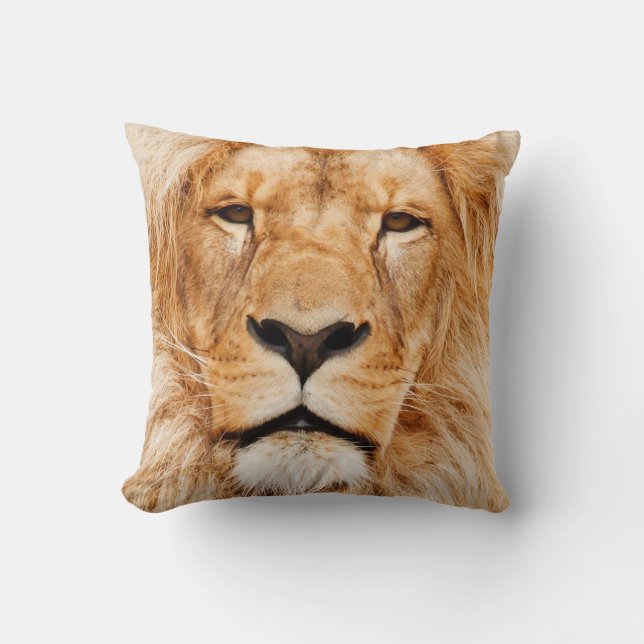 coussin de lion (Recto)