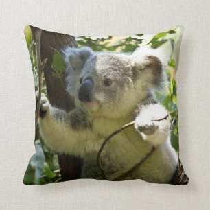 Coussin de l'ours Cute Koala