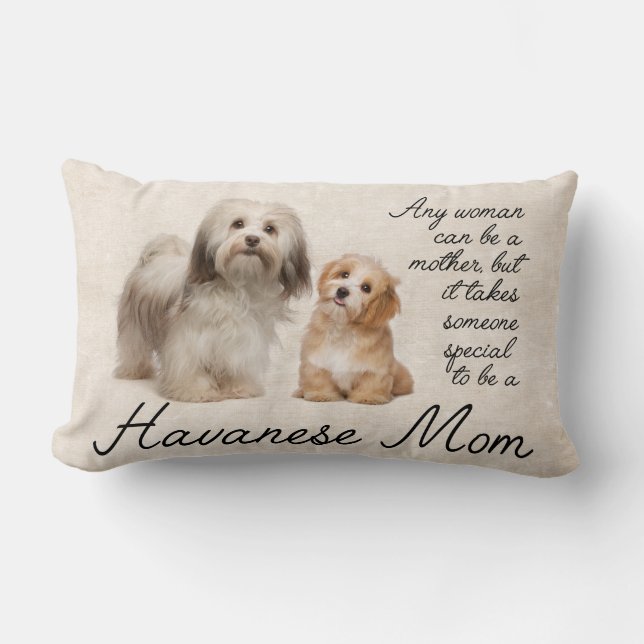 Coussin de maman de Havanese (Recto)
