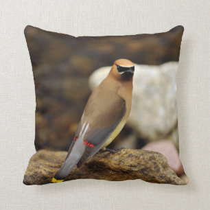 Coussin de MoJo d'Américain de jaseur de cèdre