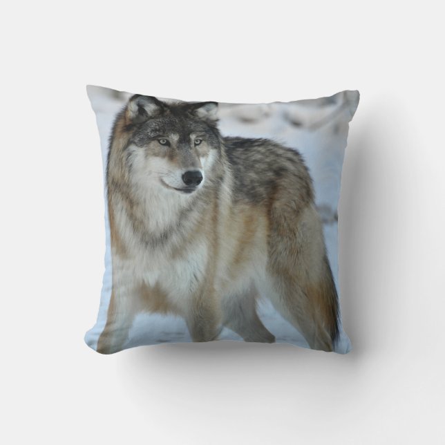 Coussin de MoJo d'Américain de loup gris (Recto)