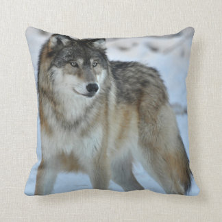 Coussin de MoJo d'Américain de loup gris