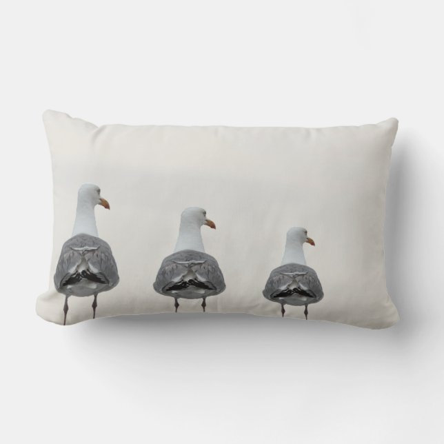 Coussin de mouette (Recto)