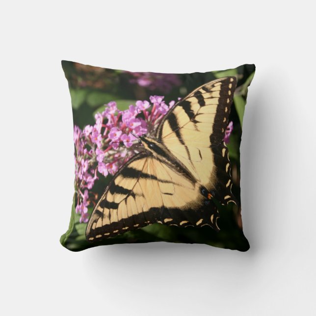 Coussin de papillon noir Swallowtail (Recto)
