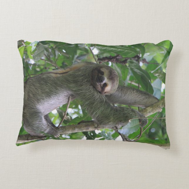 Coussin de paresse (Dos)