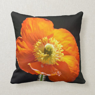 Coussin de pavot