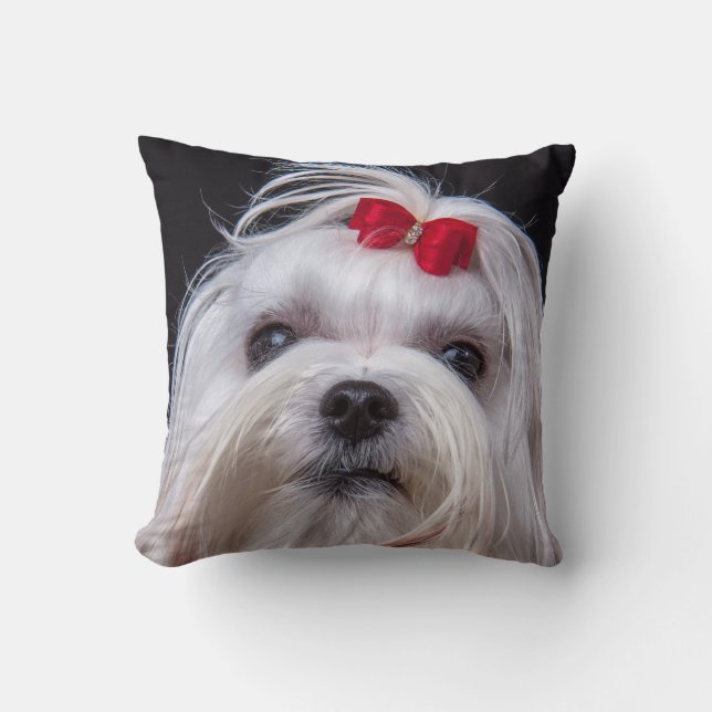 Coussin de petit chien de jouet blanc de chien (Recto)