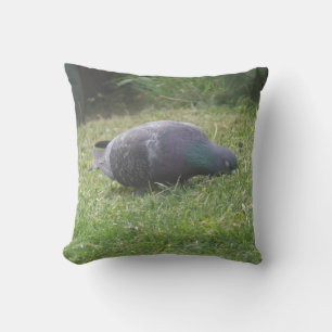 Coussin de pigeon dormant