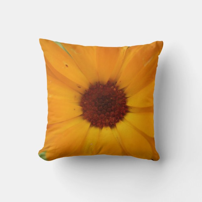 Coussin de pluie orange (Recto)